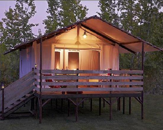 Cabane Lodge op palen STANDAARD 34m² (2 kamers) – overdekt terras – zonder (eigen) sanitair